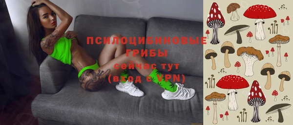 СК Аркадак