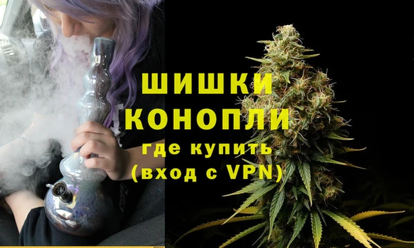 ECSTASY Армянск