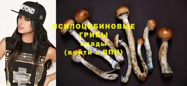мдпв Балабаново