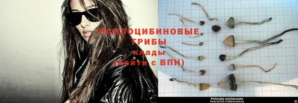 ECSTASY Армянск