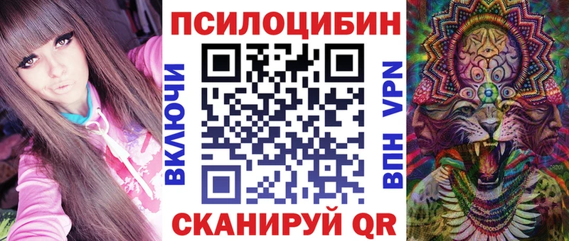 Псилоцибиновые грибы мицелий  ОМГ ОМГ онион  Балтийск 