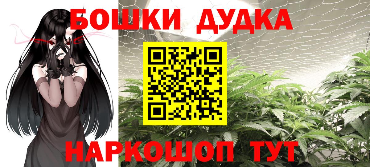 Каннабис сатива Балтийск